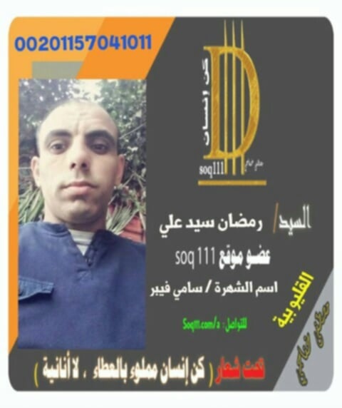 معرض الصور